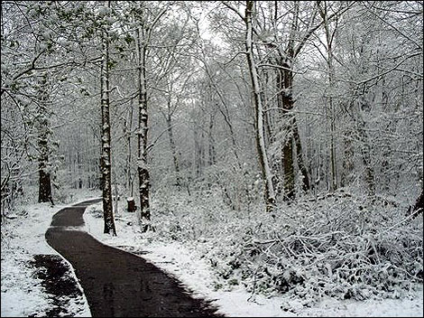 snowypath
